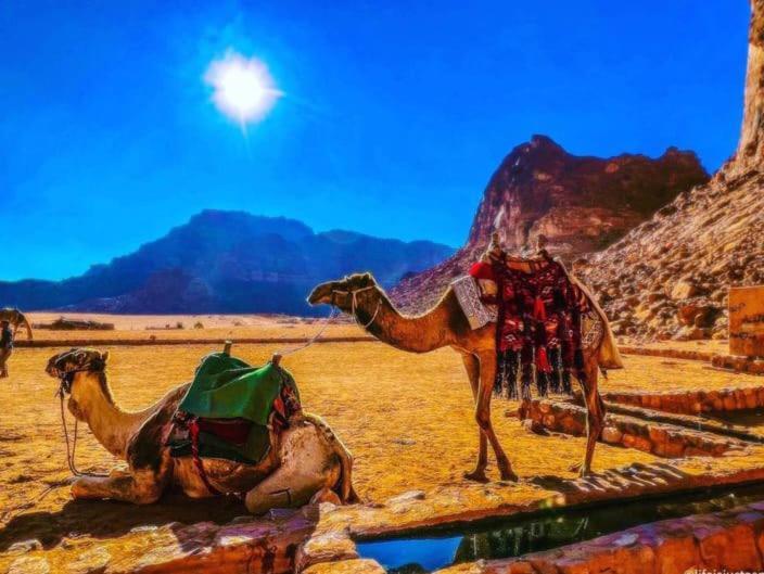 Moon City With Jeep Trips Wadi Rum Luaran gambar