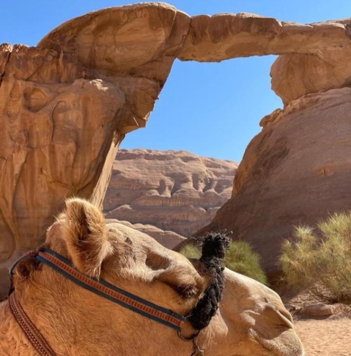 Moon City With Jeep Trips Wadi Rum Luaran gambar